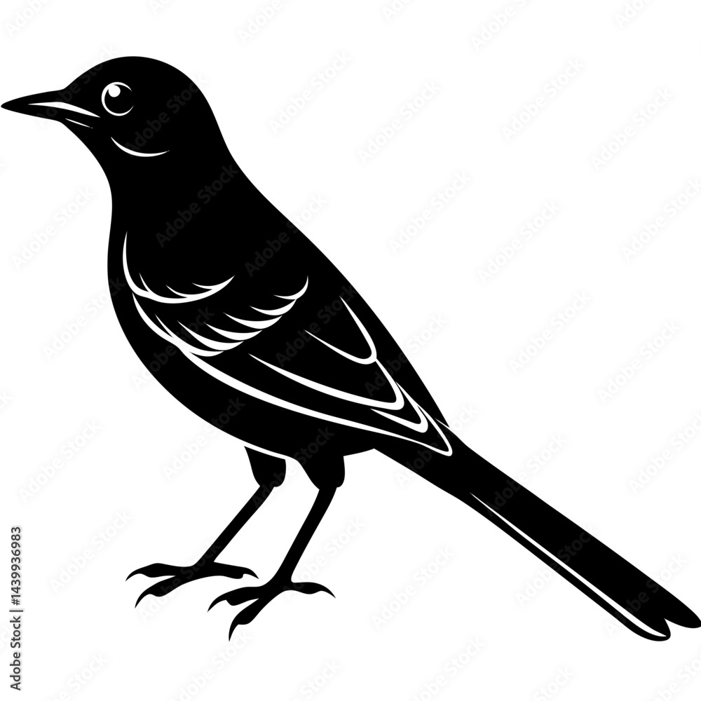 Obraz premium Mockingbird Silhouette vector illustration