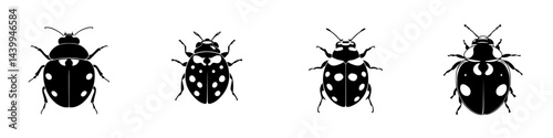 Vector illustration of four black and white ladybug designs showcasing different patterns and details