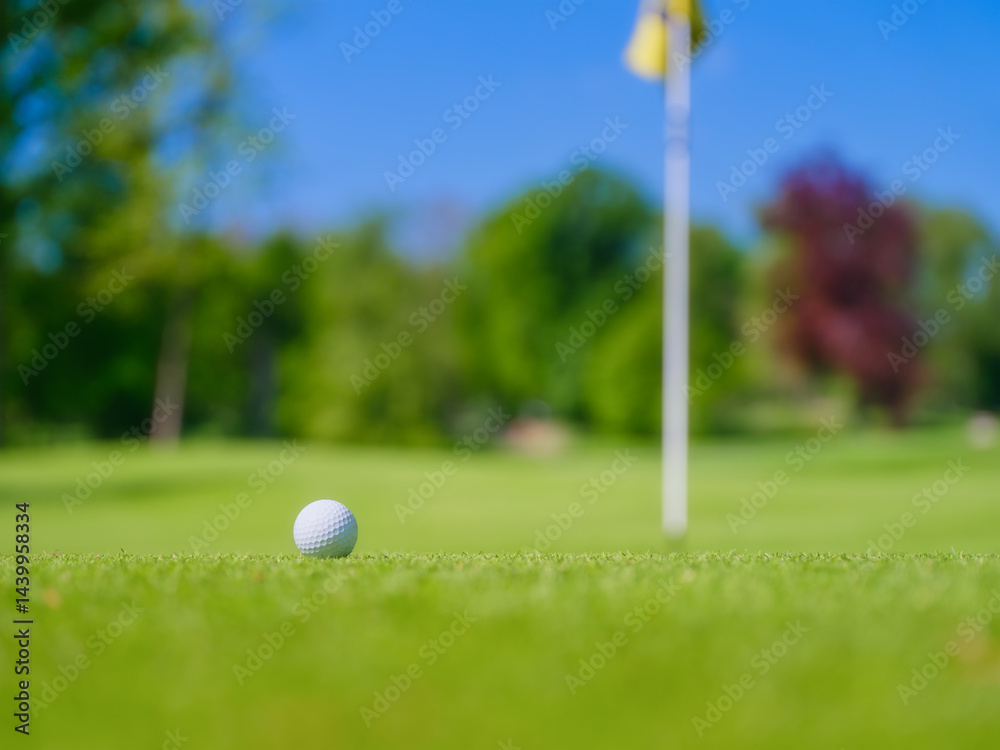 Golf ball and directions for hitting. Sports and hobbies. Sports competitions and active recreation. Individual and team game. Golf ball on a blurred background.