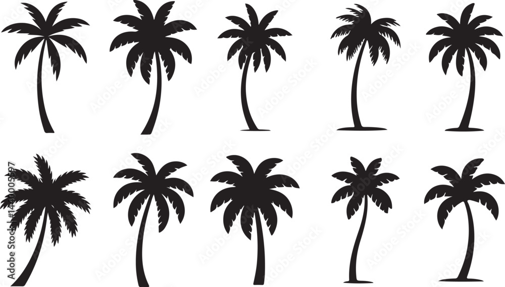 Obraz premium Palm tree icon set. Tropical palm trees in varying sizes Vector silhouette on a transparent background.