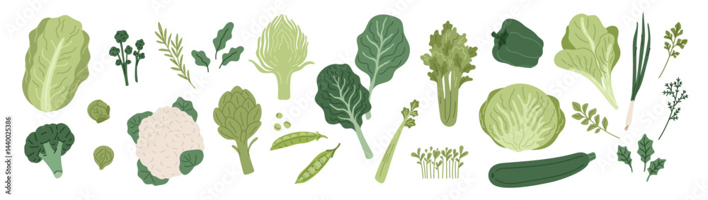 Green vegetables. Fresh leaf salad, cabbage strong heads, vegetarian natural food, artichokes, zucchini and herbs, healthy diet cooking ingredients, cartoon isolated garish vector set