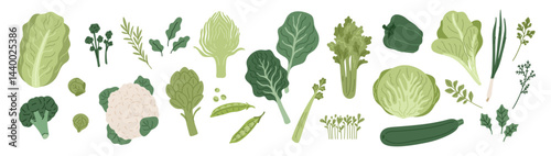 Obraz na płótnie Green vegetables. Fresh leaf salad, cabbage strong heads, vegetarian natural food, artichokes, zucchini and herbs, healthy diet cooking ingredients, cartoon isolated garish vector set w salonie