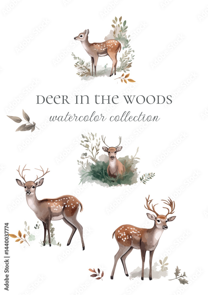 Naklejka premium watercolor collection deer in the woods handdrawn