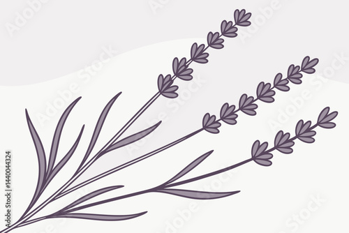 Minimalistic Lavender Sprigs Arranged On Pastel Background