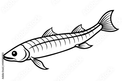 Elegant Oarfish Line Art