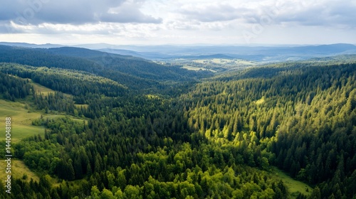 Majestic aerial view of a lush green forest valley surrounded by mountains