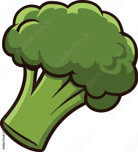 A vector illustration of a vibrant green broccoli bunch with a thick stem and a fluffy shape in white background