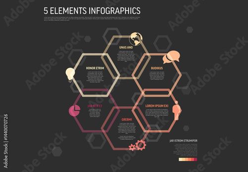 Five Elements Infographic Design with Hexagonal Structure and Icons