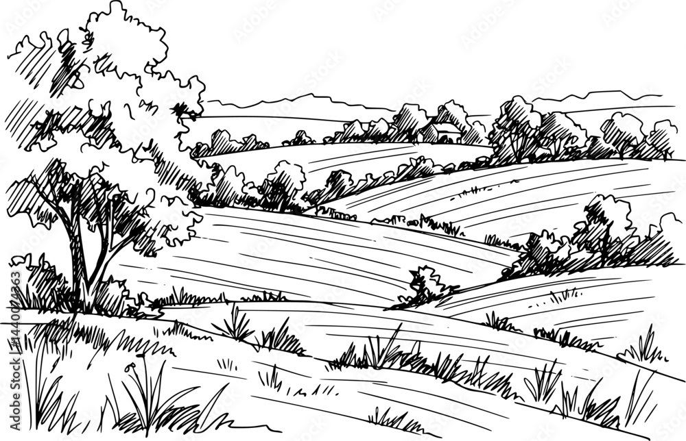 Fototapeta premium Rural Scene with Houses, Vineyard and Trees Sketch 