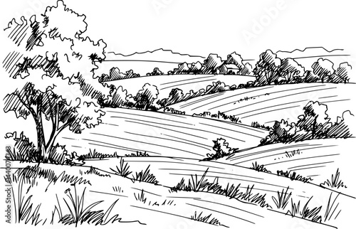 Rural Scene with Houses, Vineyard and Trees Sketch
