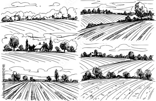 Rural Scene with Houses, Vineyard and Trees Sketch

