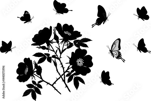 Hand Drawn Wild Flowers, Dog-Rose and Butterflies
