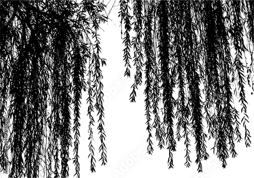 Silhouettes of Weeping Willow Branches with Leaves
