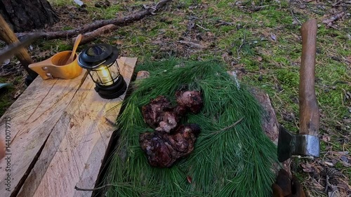cooking meat on a fire in the forest