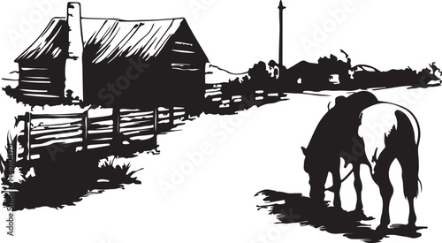 horse in the countryside