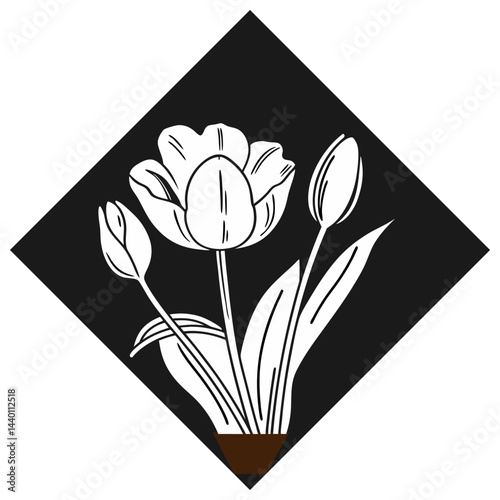 Tulip Flower Vector Image