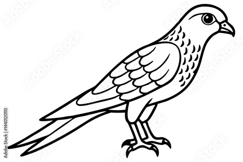 Flying Kestrel Vector
