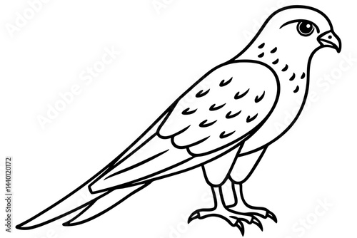 Flying Kestrel Vector