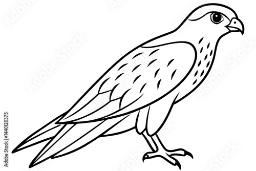 Flying Kestrel Vector
