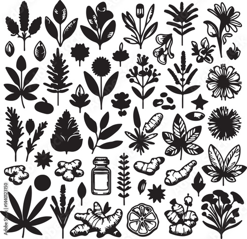 Medicinal herbs line icon set. Vector pictograms of echinacea, ginger, turmeric, lavender, rosemary, calendula, lemon balm, dandelion, st johns wort, thin linear illustration