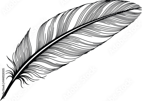 Simple Black and White Feather Vector