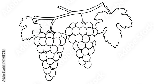 Appealing Bunch of Grapes Illustration for Kid Friendly Coloring Activities