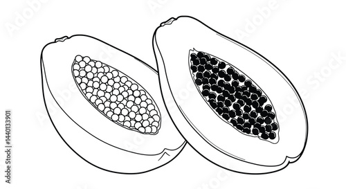 Exotic Papaya Half Line Art Illustration for Childrens Creative Coloring Fun