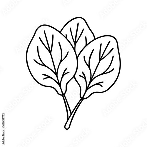 spinach leaves icon, spinach leaves line art - simple line art of spinach leaves, perfect for spinach leaves logos and icons