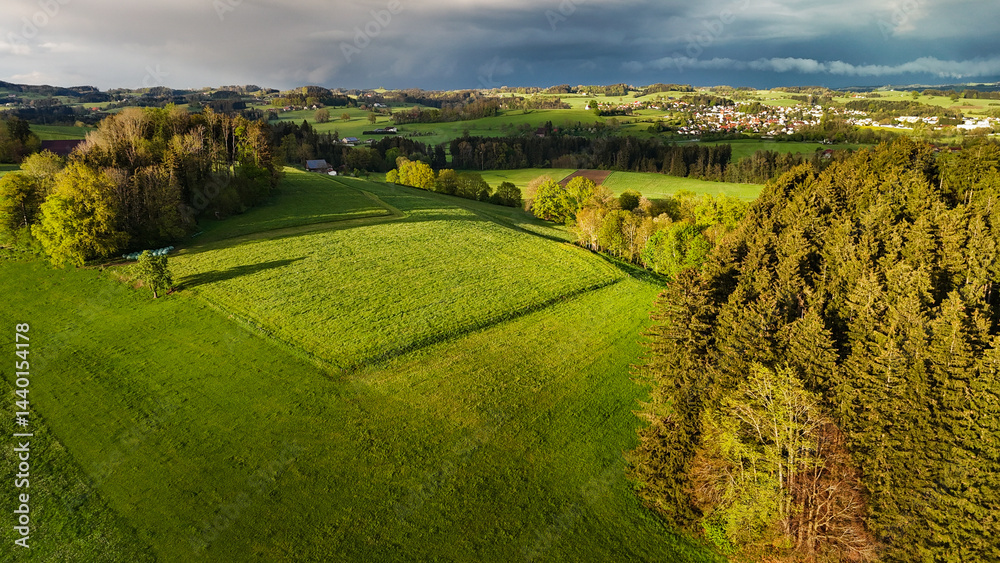 Obraz premium Forest and farmlands in dramatic spring light, Allgäu, southern Germany