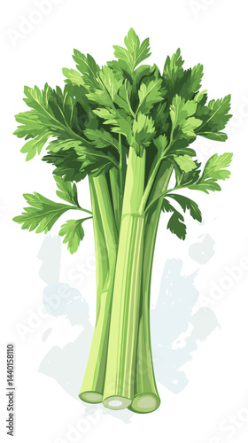 Vector illustration of celery sticks stems isolated on a white background