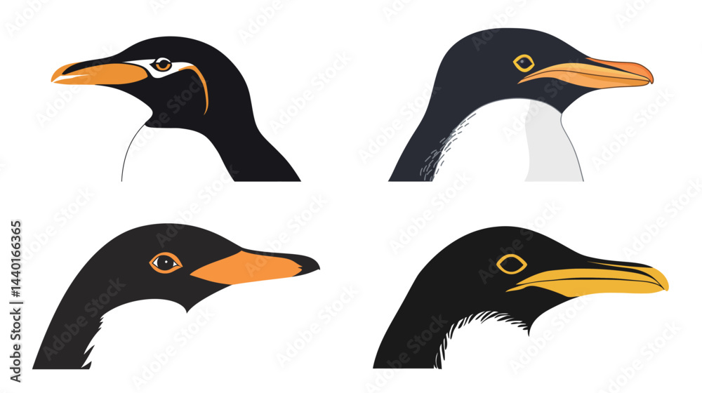 Fototapeta premium A head of Yellow-Eyed Penguin vector illustration.