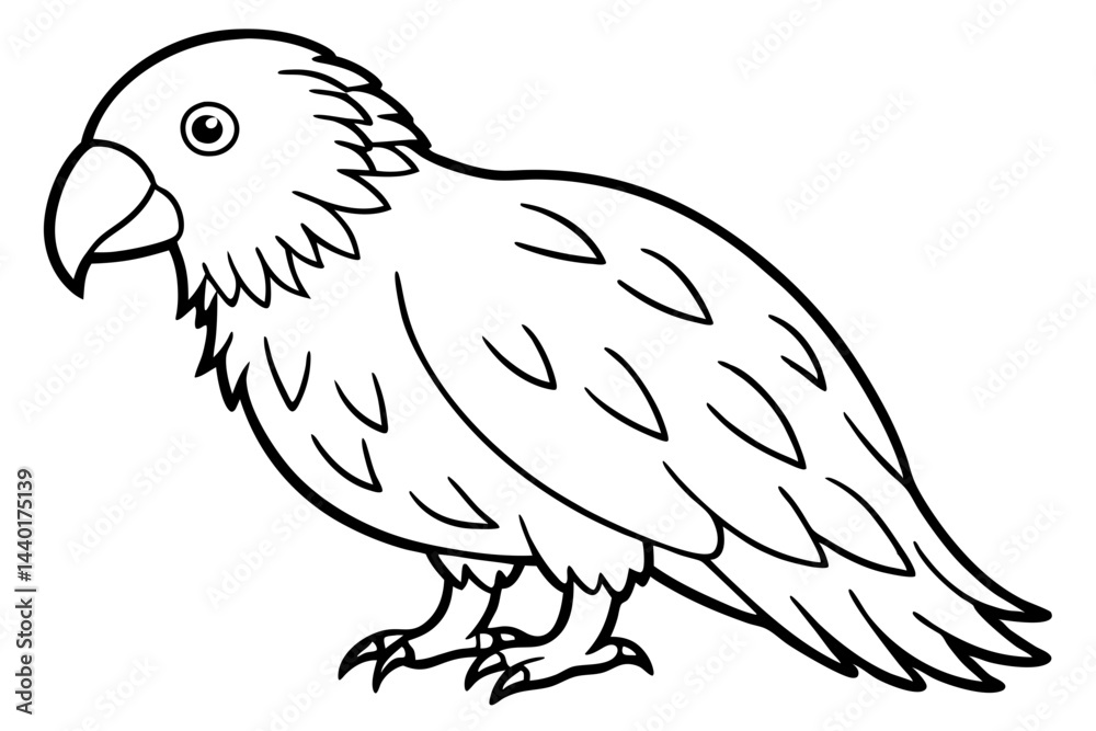 Fototapeta premium Kestrel Minimalist Line Art