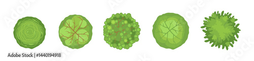 Tree crowns set