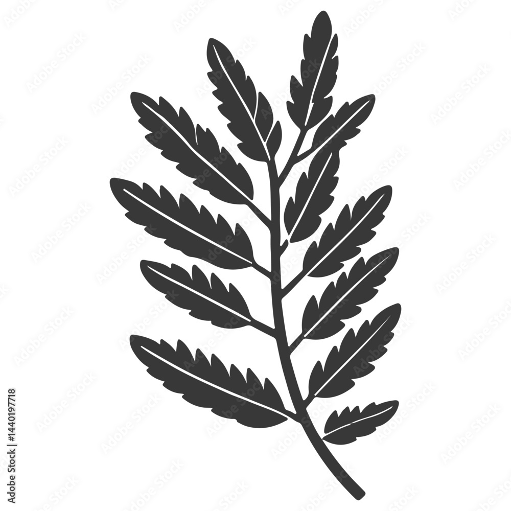 Stylized botanical illustration featuring intricate fern-like leaf silhouette design Stylized botanical illustration featuring intricate fern-like leaf silhouette design