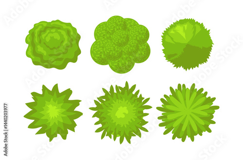Tree crowns set