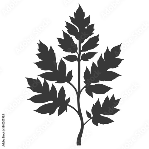 Silhouette of a fern frond creating a stark botanical design element