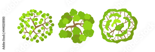 Tree crowns set