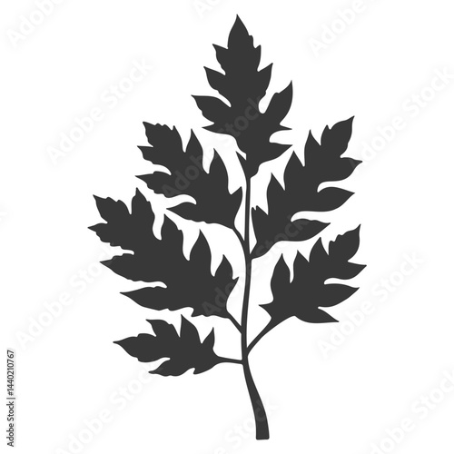 Silhouette of a textured leaf sprig against a pure white backdrop