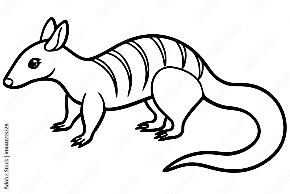 Fototapeta premium Minimal Numbat Line Art