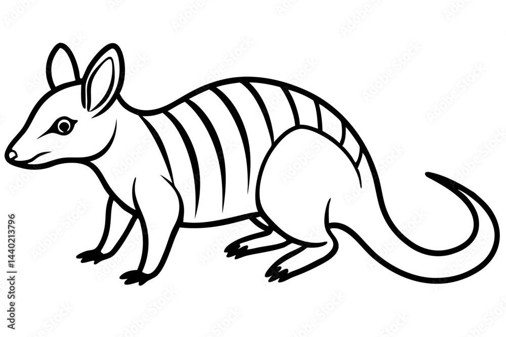 Fototapeta premium Minimal Numbat Line Art