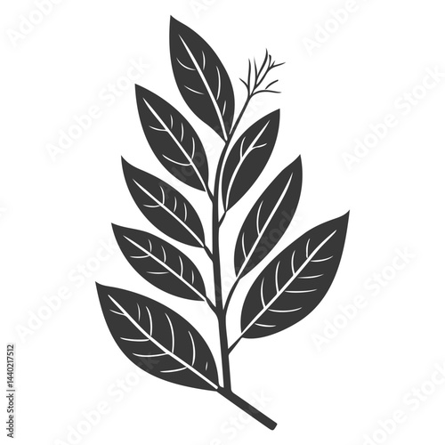 Elegant botanical illustration featuring a stylized leafy branch on white backdrop