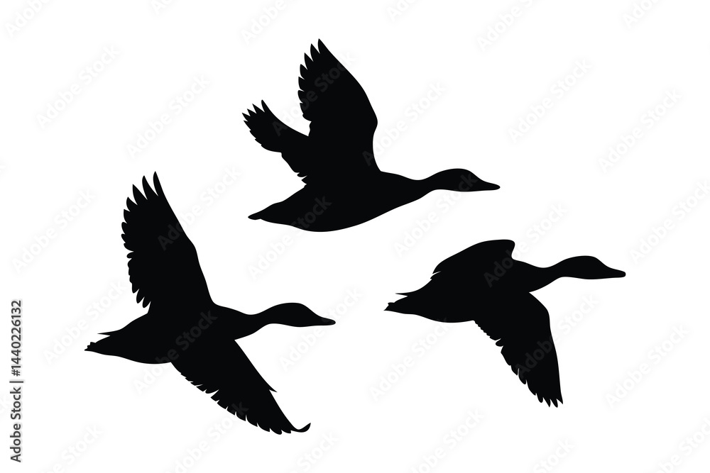 Fototapeta premium Flock of flying duck silhouette vector, duck bird icon vector art illustration