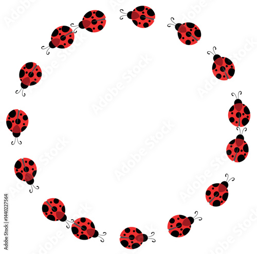 ladybug vector illustration