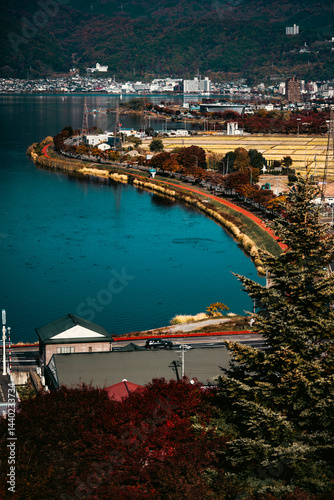 Traveling in Japan, Woman T...