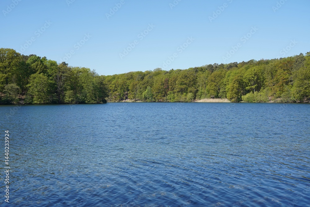 Panoramalandschaft des Schlachtensees in Berlin im Frühling