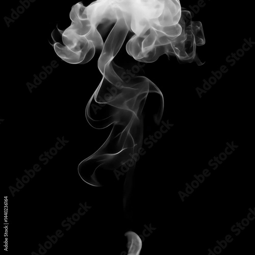 Wallpaper Mural White smoke animated overlay, transparent 4K video, alpha channel, ProRes 4444 Torontodigital.ca