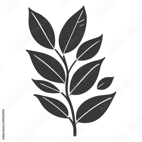 Elegant botanical illustration displaying a delicate branch adorned with leaves