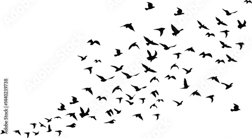 Bird Flock Silhouettes Vector – Minimalist Black and White Flight Formation in Motion