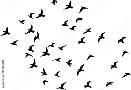 Bird Silhouette Flock in Flight Minimalist Black and White Illustration with Migration Theme