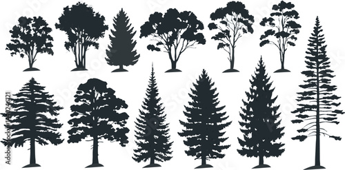 Set of woodland tree silhouettes featuring pines, firs, and spruces. Vector illustration on white background.